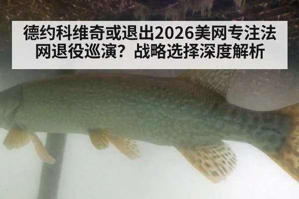 德约科维奇或退出2026美网专注法网退役巡演？战略选择深度解析