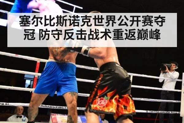 塞尔比斯诺克世界公开赛夺冠 防守反击战术重返巅峰
