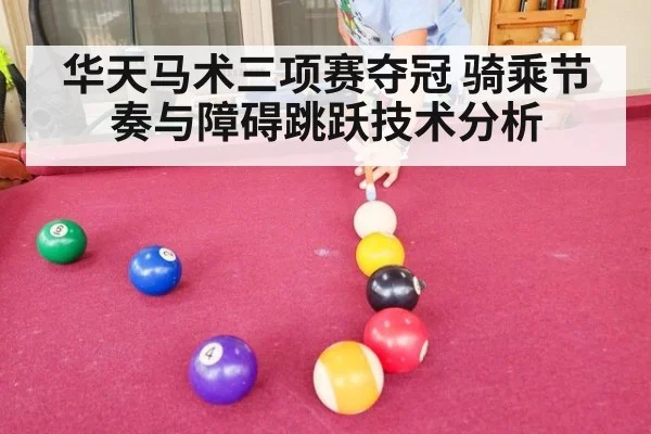 华天马术三项赛夺冠 骑乘节奏与障碍跳跃技术分析