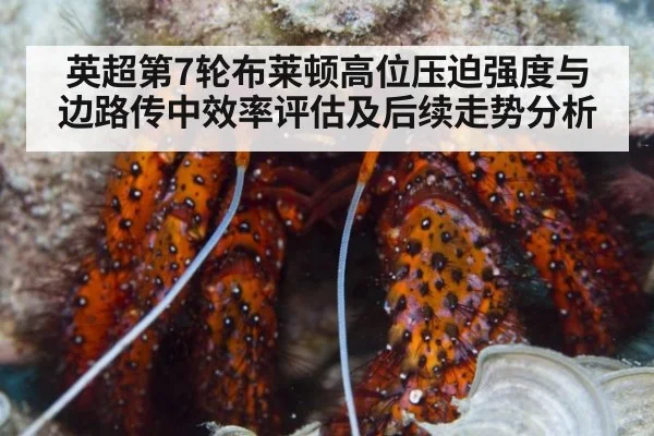 英超第7轮布莱顿高位压迫强度与边路传中效率评估及后续走势分析